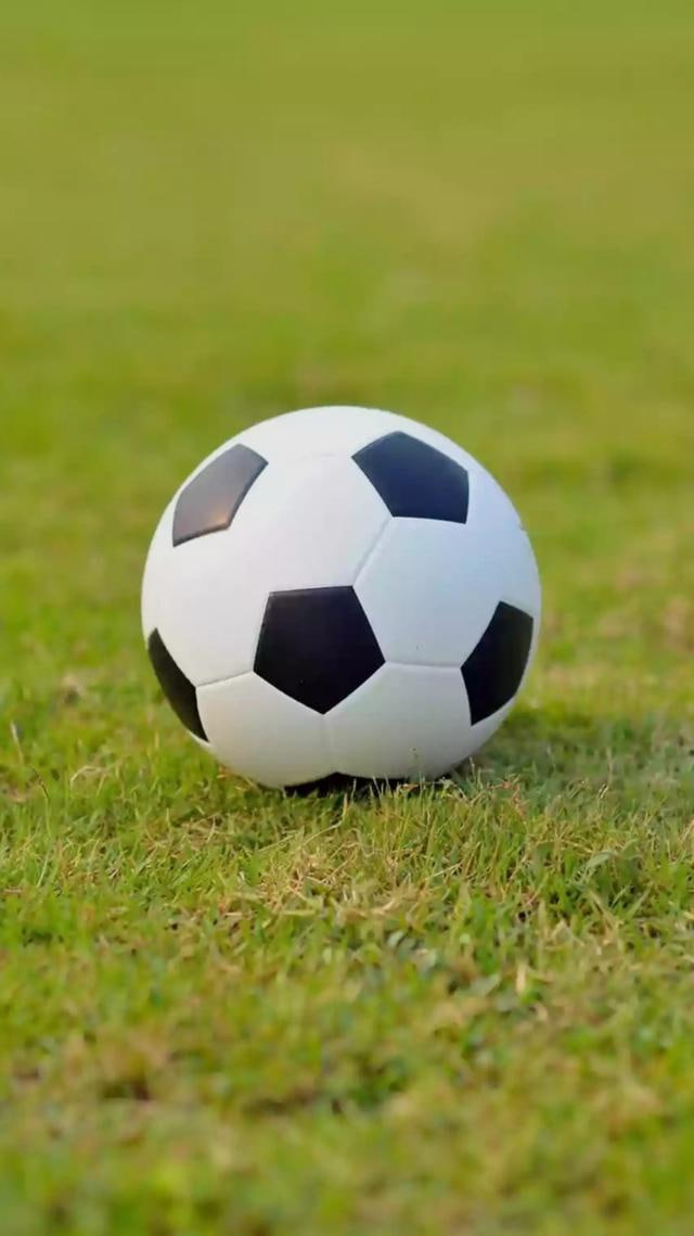 球探比分即时足球比分品牌标识